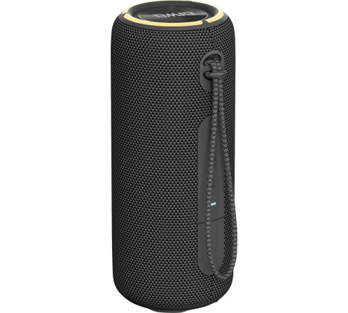 Портативная акустика AIWA PAS-H300 (черный)