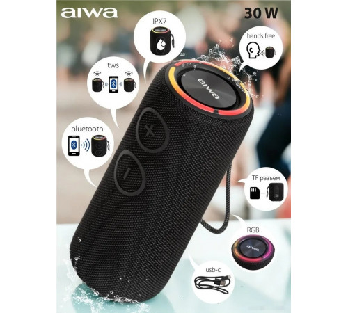 Портативная акустика AIWA PAS-H300 (черный)