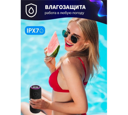 Портативная акустика AIWA PAS-H300 (черный)
