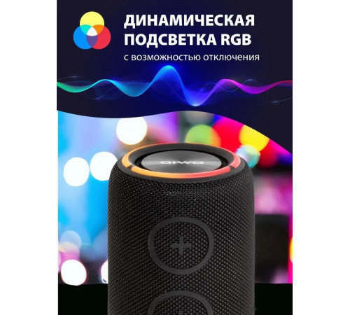 Портативная акустика AIWA PAS-H300 (черный)
