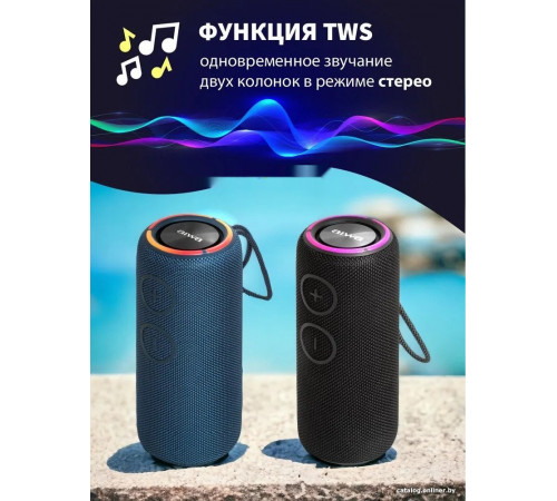 Портативная акустика AIWA PAS-H300 (черный)