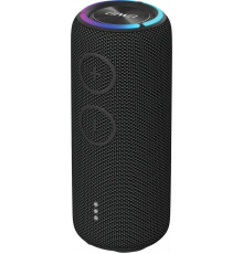 Портативная акустика AIWA PAS-H300 (черный)