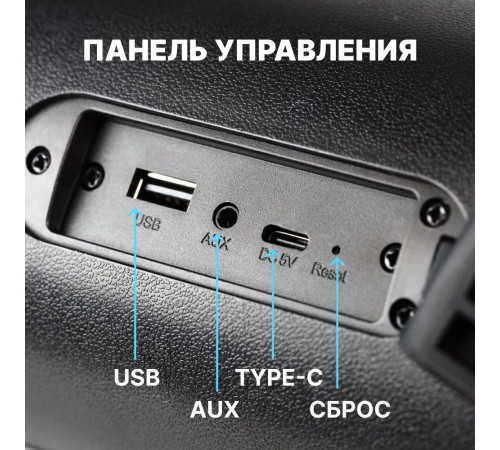 Портативная акустика SmartBuy Master SBS-5580