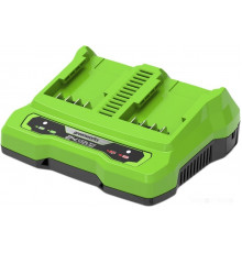 Зарядное устройство Greenworks G24X2UC2 (2x24В)