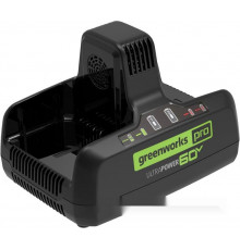 Зарядное устройство Greenworks G60DC10 2954407