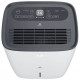 Осушитель воздуха Royal Clima Carisma Villa RD-CR30-E