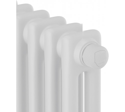 Радиатор Royal Thermo Insignia VC2180 - 12 секций RAL9016