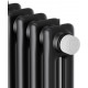 Радиатор Royal Thermo Insignia VC2180 - 08 секций RAL9005m