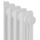 Радиатор Royal Thermo Insignia VC2180 - 06 секций RAL9016