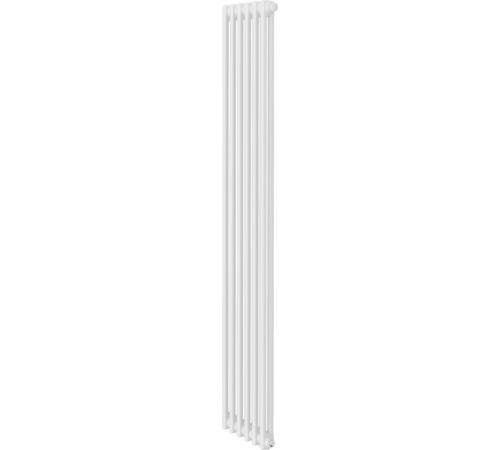 Радиатор Royal Thermo Insignia VC2180 - 06 секций RAL9016