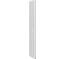 Радиатор Royal Thermo Insignia C2180 - 06 секций RAL9016