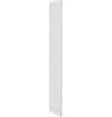 Радиатор Royal Thermo Insignia C2180 - 06 секций RAL9016