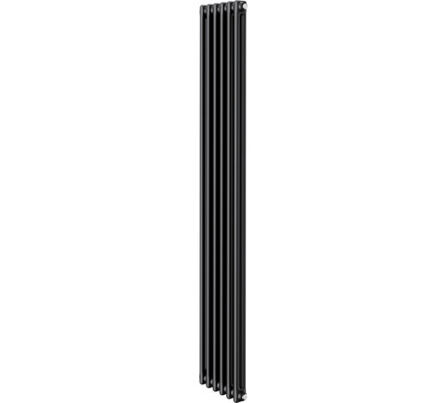 Радиатор Royal Thermo Insignia C2180 - 06 секций RAL9005m