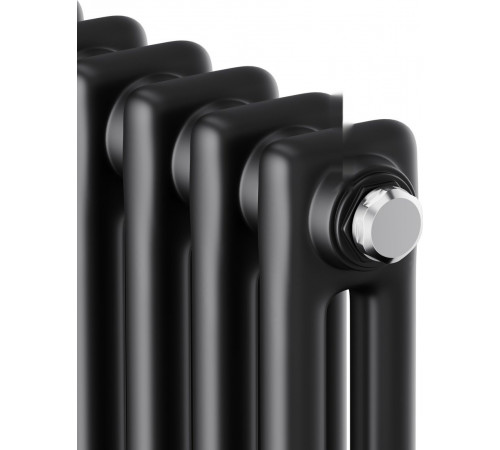Радиатор Royal Thermo Insignia C2180 - 04 секций RAL9005m