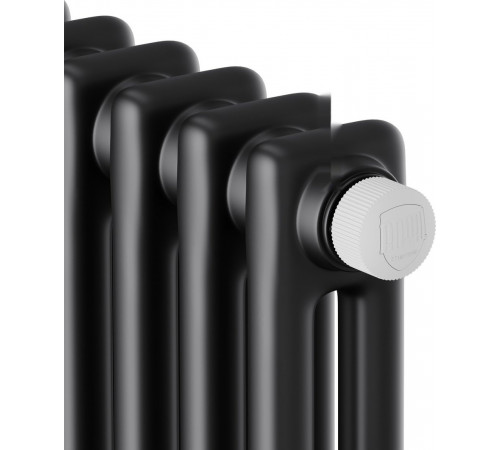 Радиатор Royal Thermo Insignia VC2180 - 06 секций RAL9005m
