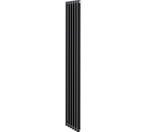 Радиатор Royal Thermo Insignia VC2180 - 06 секций RAL9005m