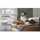 Пылесос Polaris PVCSDC 3000 Wi-Fi IQ Home (белый)