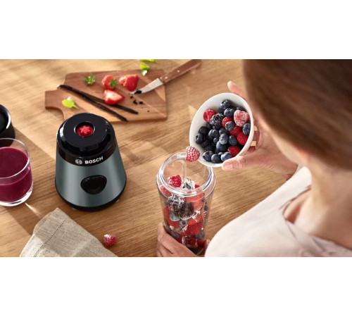Блендер Bosch MMB2111S