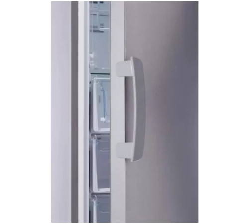Морозильник Indesit DFZ 5175 G