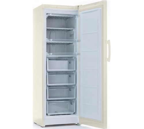 Морозильная камера Indesit DSZ 5175 E