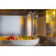 Микроволновая печь Gorenje BMI251SG3BG