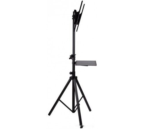 Кронштейн Arm Media TR-Stand-2 (черный)