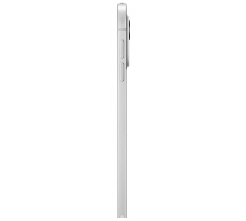 Планшет Apple iPad Pro 11" 2025 256GB (серебристый)