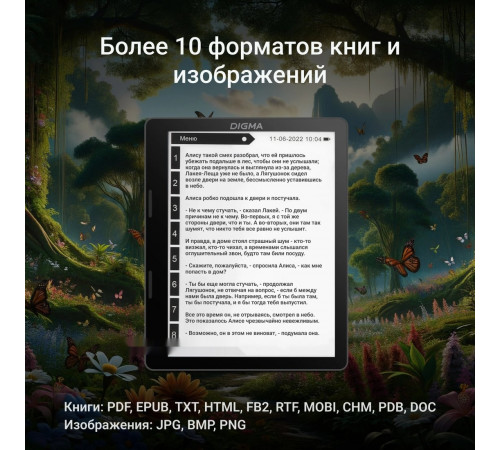 Электронная книга DIGMA F4