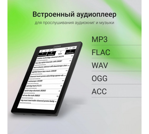 Электронная книга DIGMA F4