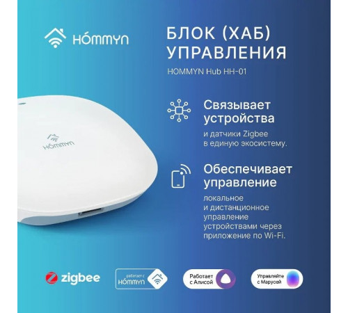 Центр управления (хаб) Hommyn Hub HH-01