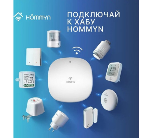 Центр управления (хаб) Hommyn Hub HH-01