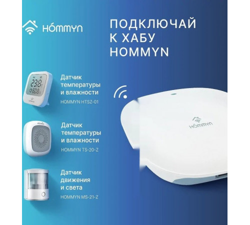 Центр управления (хаб) Hommyn Hub HH-01