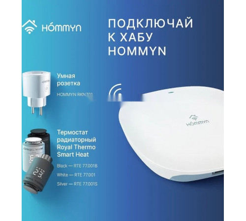 Центр управления (хаб) Hommyn Hub HH-01