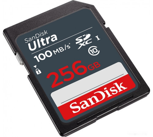 Карта памяти SanDisk Ultra SDXC SDSDUNR-256G-GN3IN 256GB
