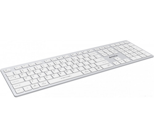 Клавиатура A4Tech Fstyler FBX50C (серебристый/белый)
