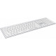 Клавиатура A4Tech Fstyler FBX50C (серебристый/белый)