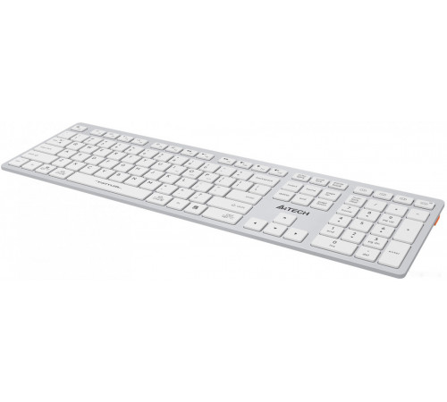 Клавиатура A4Tech Fstyler FBX50C (серебристый/белый)