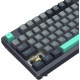 Клавиатура A4Tech Fstyler FS300 Panda Rock Climbing