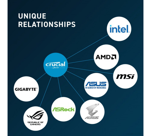 Модуль памяти Crucial 16ГБ DDR5 4800 МГц CB16GU4800