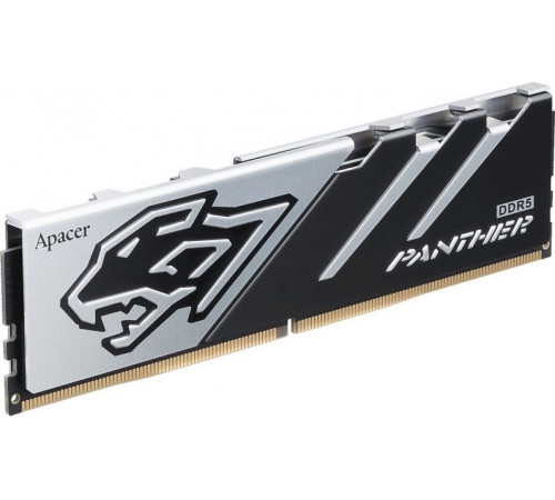 Модуль памяти Apacer Panther 2x16ГБ DDR5 6000 МГц AH5U32G60C6227BAA-2