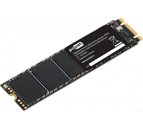 SSD PC PET 256GB PCPS256G1