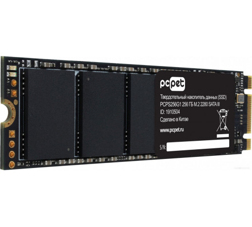 SSD PC PET 256GB PCPS256G1