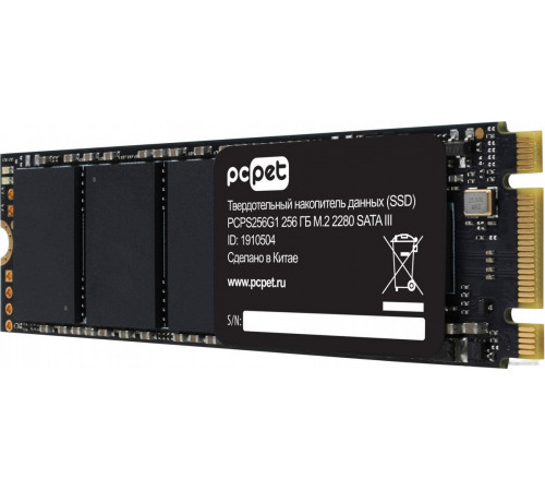 SSD PC PET 256GB PCPS256G1