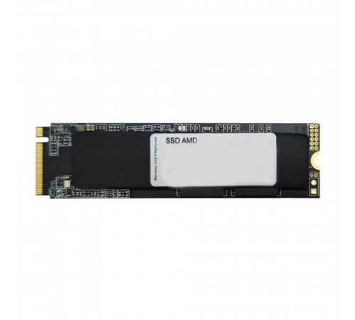 SSD AMD RADEON R3 Series (R3MP32048G8)