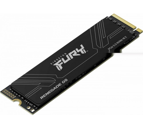 SSD Kingston Fury Renegade G5 1TB SFYR2S/1T0