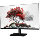 Монитор RDW Computers RDW2701K/F00В3100V2A1