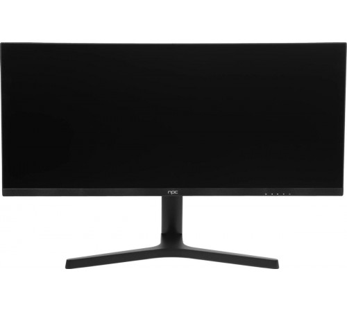 Монитор NPC MZ300L