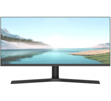 Монитор NPC MZ300L