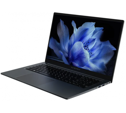 Ноутбук Maibenben P725 P7251SF0LGRE0