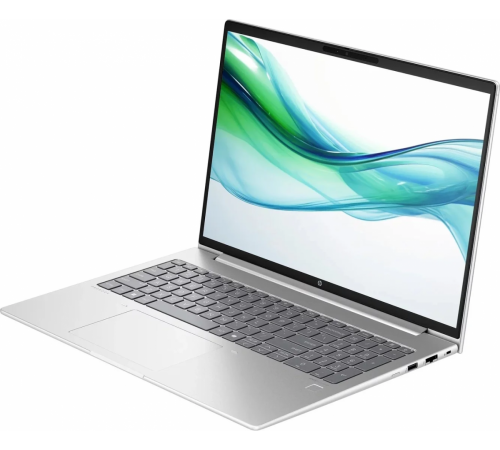 Ноутбук HP ProBook 460 G11 B49ZPPT